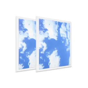 40W SKY LED 2D Ceiling Panel 60x60cms, Set of 2 Ultra Thin LED Panels, for Waiting Area, Hallway, Office and Home, Colour Temperature 6000k